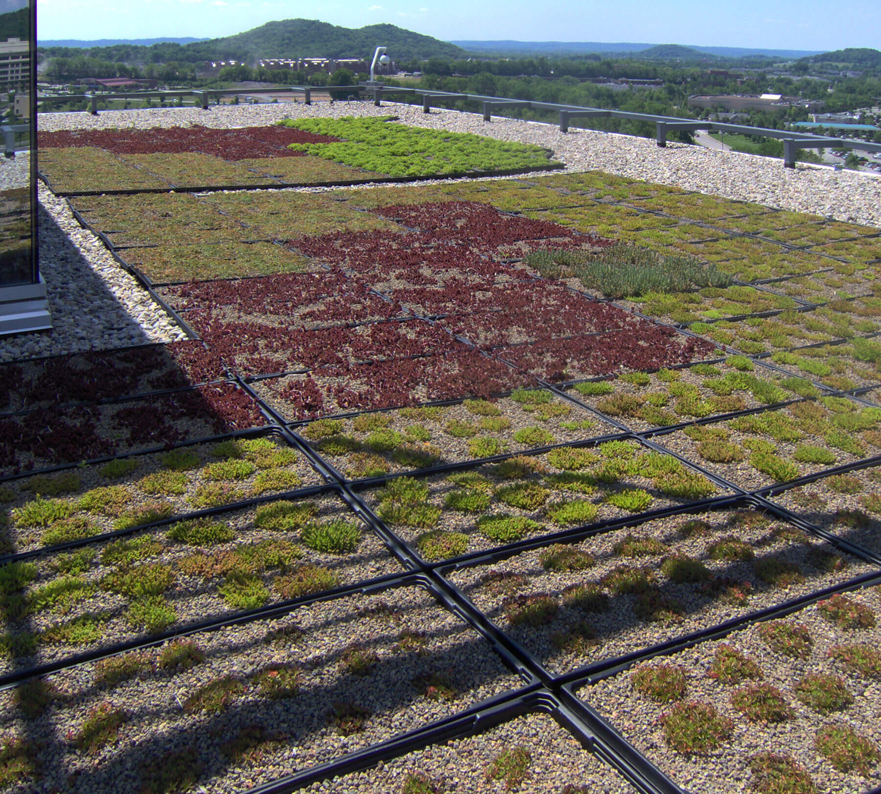 a green roof with plants at the Nissan North America Headquarters in Franklin, TN