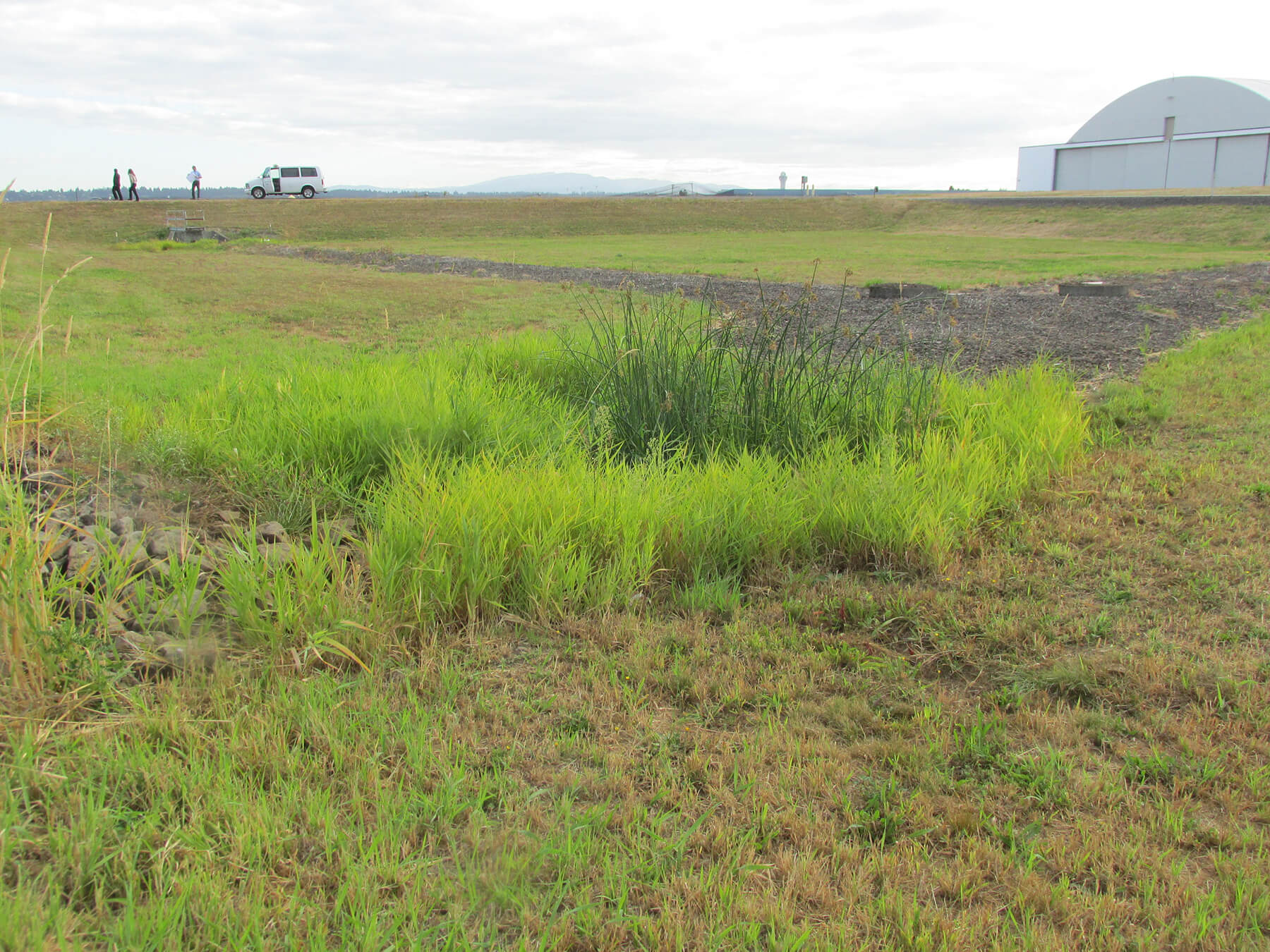 Green infrastructure components seen in field near airport