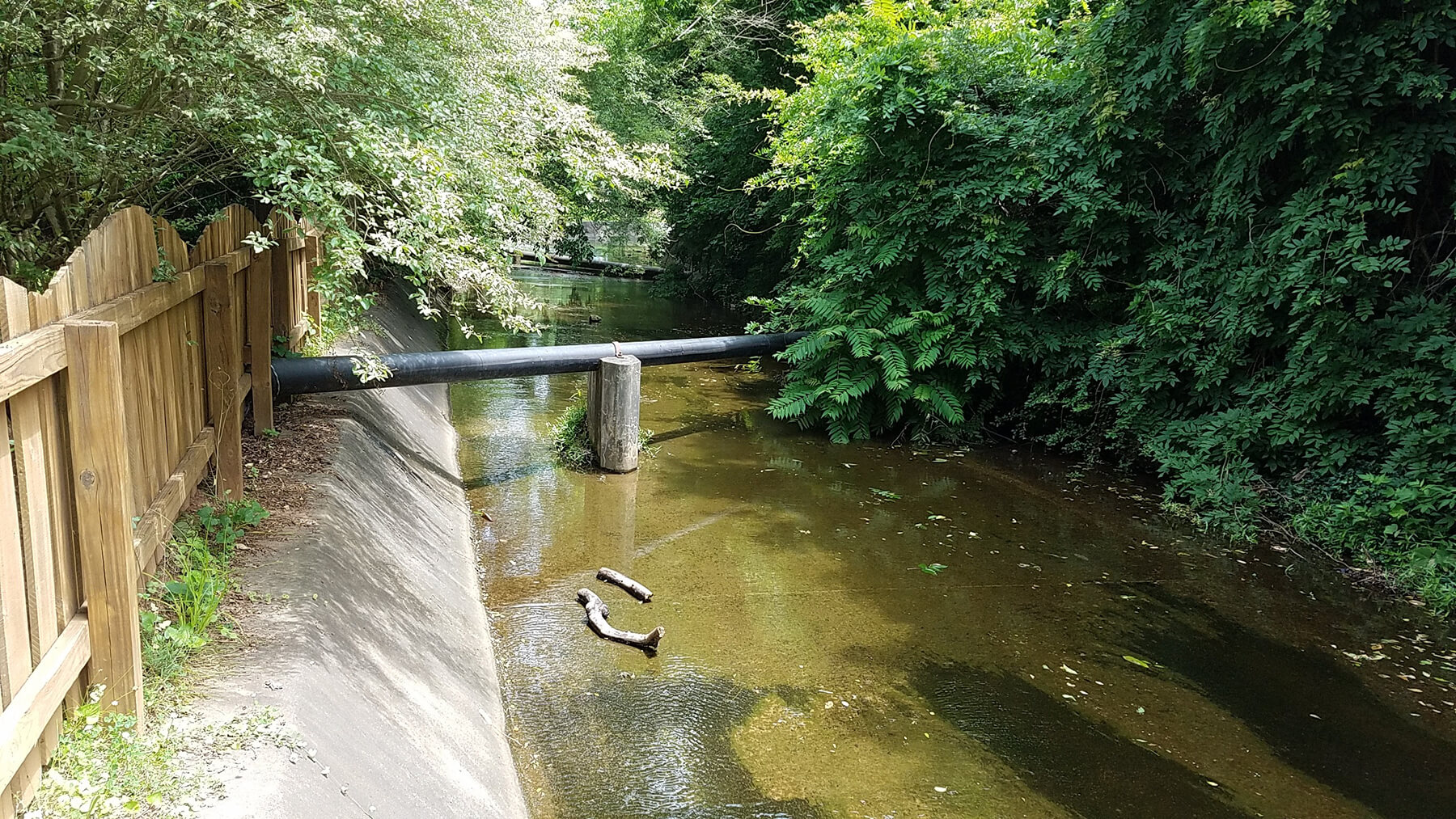 Pipe running across waterway surrounded by trees.