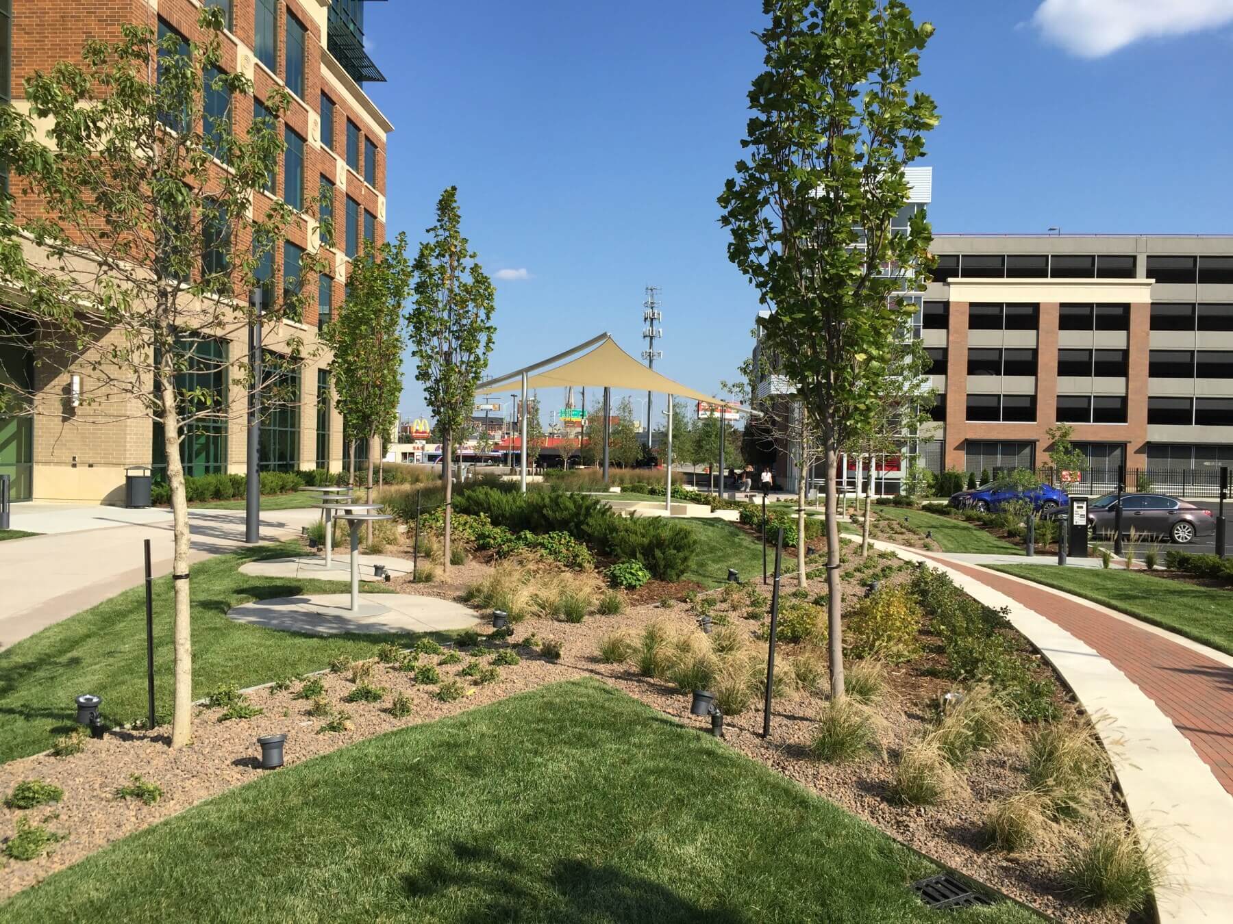 plantings, grass and trees outside of the University of Louisville’s J.D. Nichols Campus Plaza