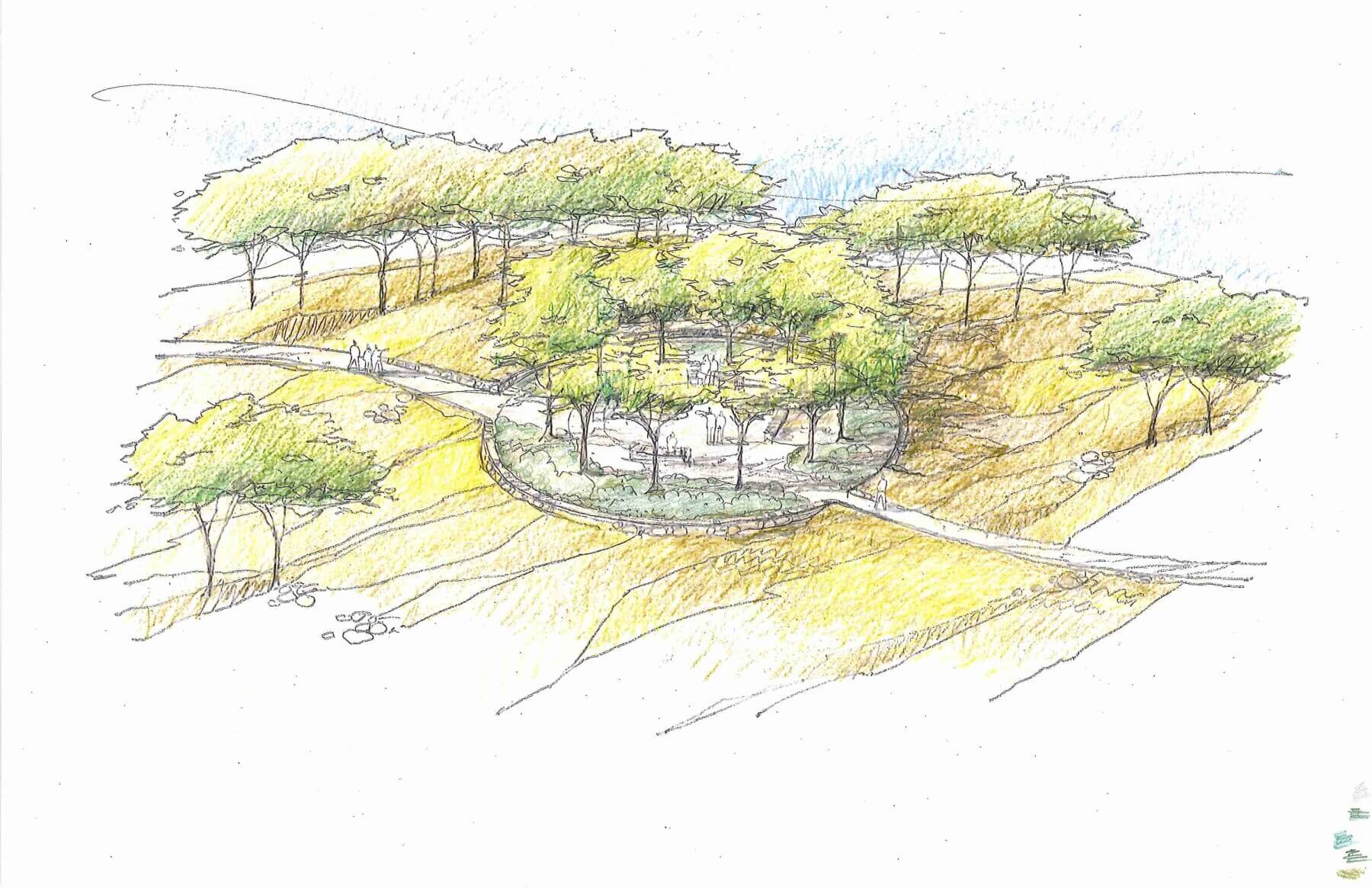a drawing of the Moss Gibbs Woodland Garden