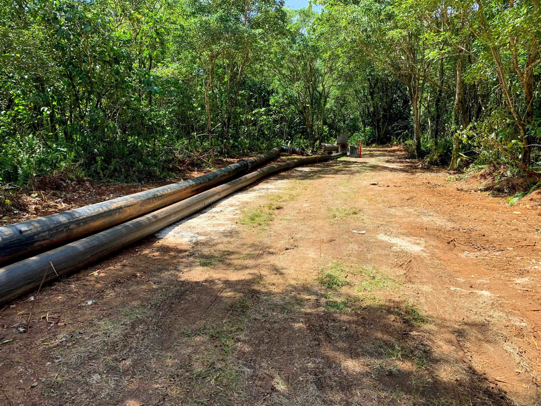 A pipeline winding through jungle terrain.