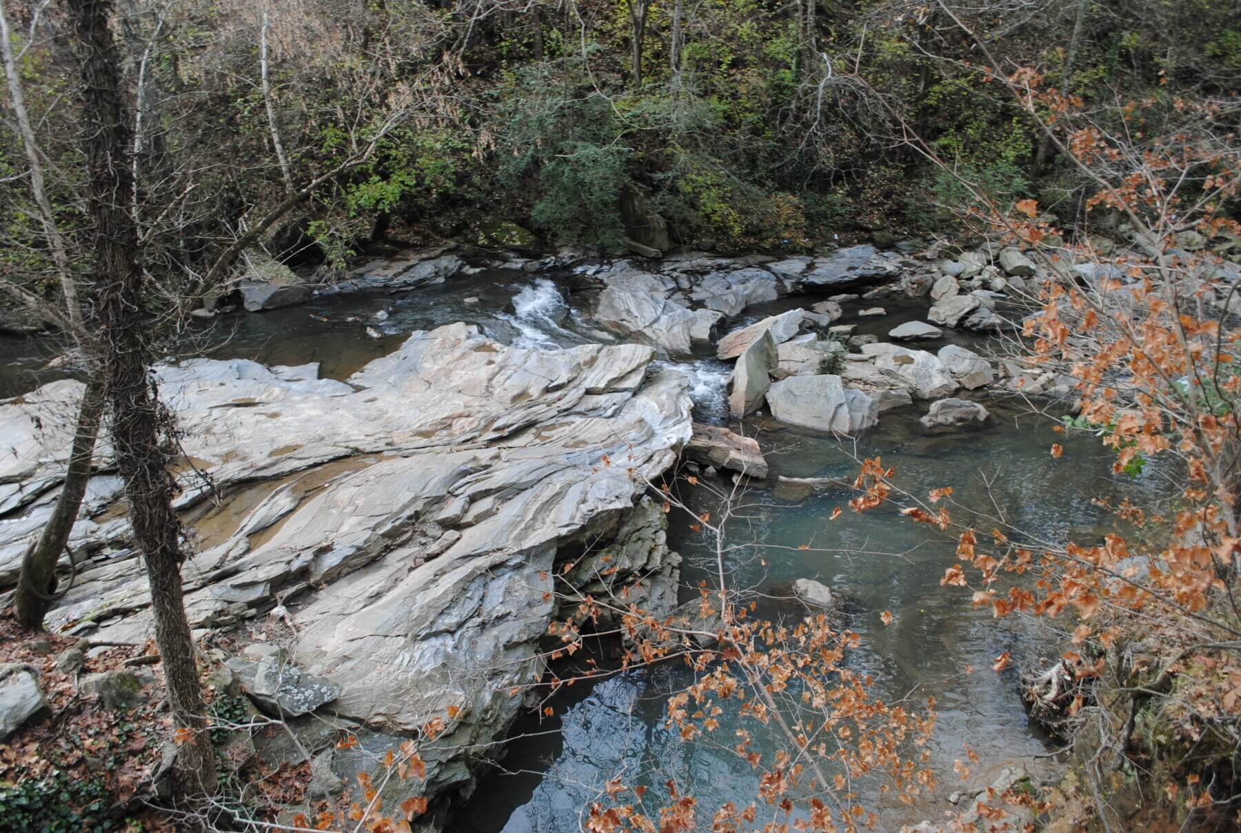 Creek and nature at the Chattahoochee RiverLands