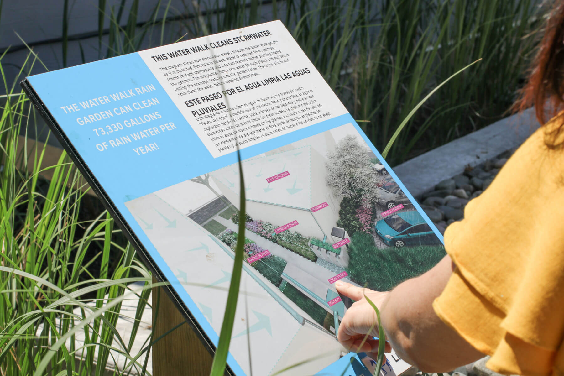 : a person pointing at educational signage at the Rain Gardens at 900 Block