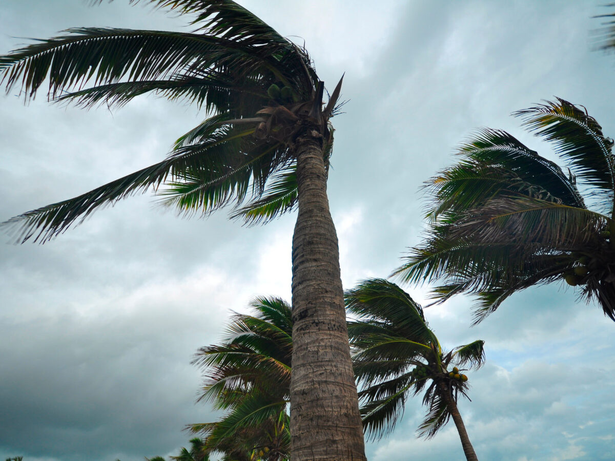 Defending Against Disaster: Helping a Hospital Weather Climate Threats