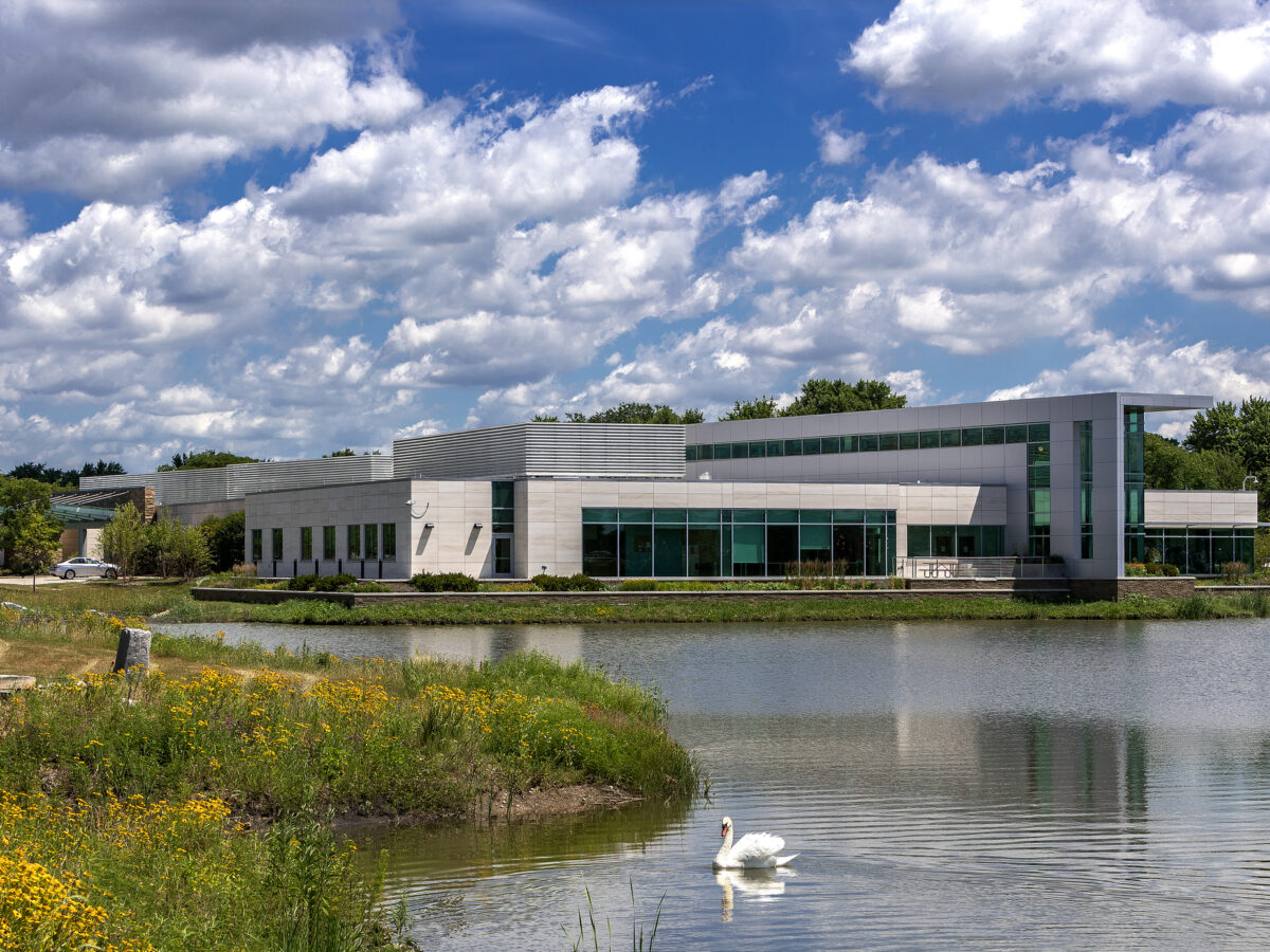 Exterior of a modern building with a pond and wildflowers and a swan in front