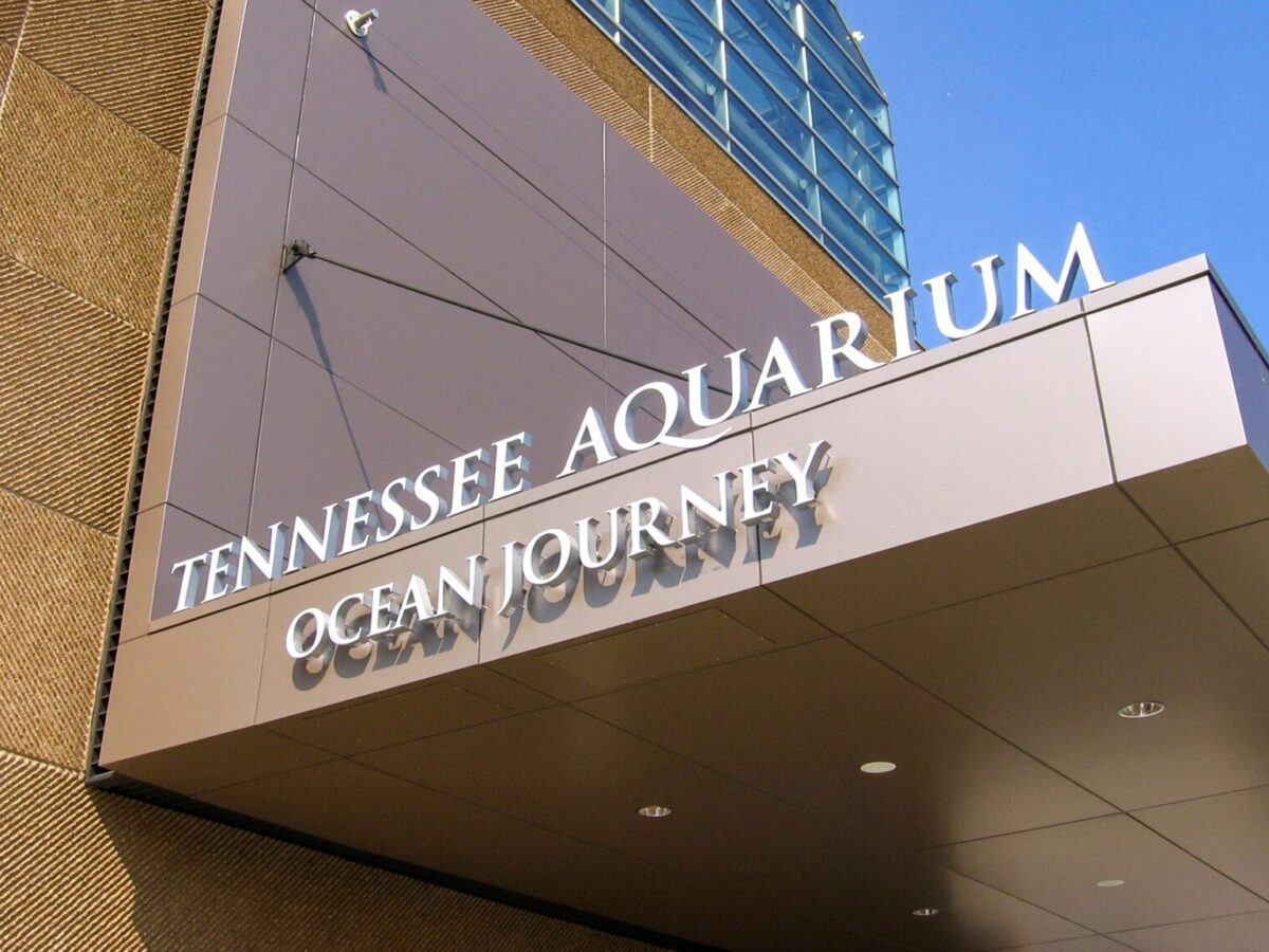 3 dimensional lettering on an awning spelling tennessee aquarium ocean journey