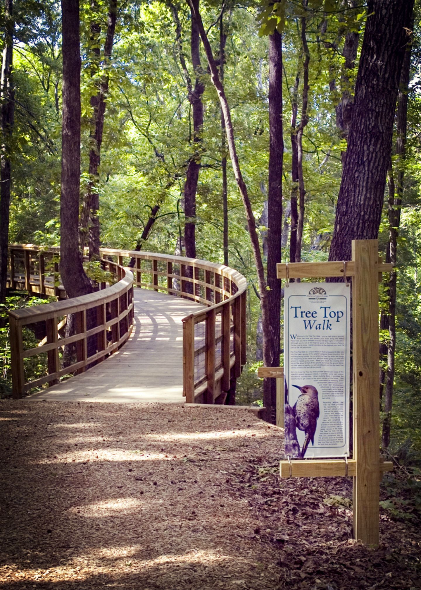 directional sign next to a boardwalk bridge in a forest