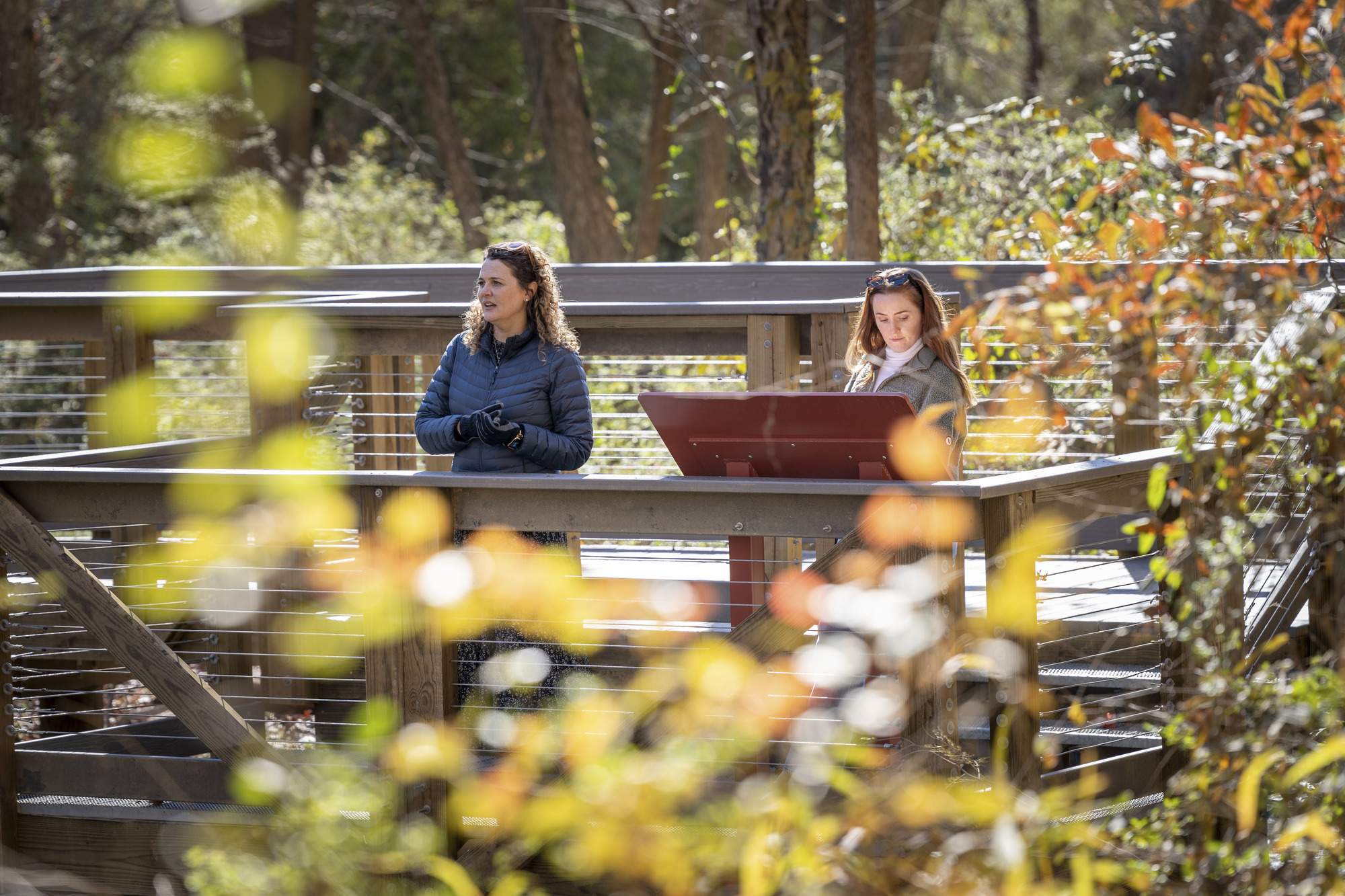 Chattahoochee RiverLands trail, Chattahoochee River